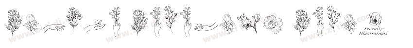 Simple Serenity Seri字体转换